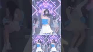 Korean Panda Live 1 #koreapandalive
