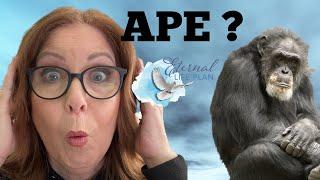 As Catholics Do we Believe we came from Apes?