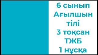 6 сынып Ағылшын тілі 3 тоқсан ТЖБ 1 нұсқа