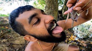 ගැඩවිලි පනුවෝත් රසයි මචං | Veddaa