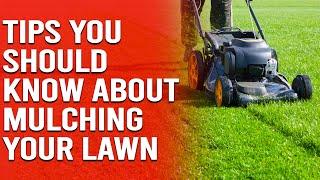 Useful Tips You Should Know About Mulching Your Lawn