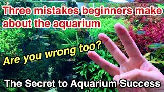 Three common mistakes beginners make about planted aquarium【About aquarium plants and CO2 injection】