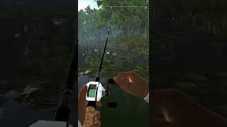 Fishing planet game PC how to catch a green frog easily 