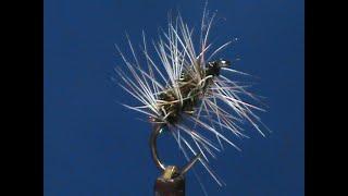 Beginner Fly Tying a Griffiths Gnat with Jim Misiura