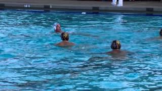 St   Francis vs  Gunn Boys Water Polo CCS D 1 Championship