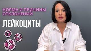 ЛЕЙКОЦИТЫ: какая норма и почему повышаются