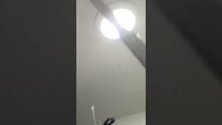 Pantry Moth Quick Tip - Use a vacuum to suck them up