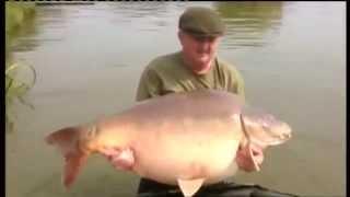 World record common carp 2014