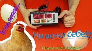 Контроллер для инкубатора Ketotek XM-18