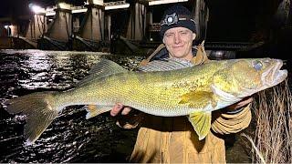 Fall WALLEYE Fishing is here!