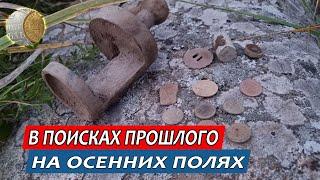 0810 / В поисках прошлого на осенних полях #1 / Металлопоиск с XP Deus 2