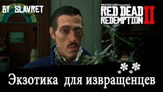 Экзотика для Извращенцев в Red Dead Redemption 2 (ЧАСТЬ 5) - КВЕСТ ЭКЗОТИКА ФИНАЛЬНЫЙ