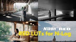 Nikon | RED: Master Cinematic Video with RED LUTs for N-Log