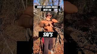 SAI Tricks You Would Want To Learn! #martialarts #shorts