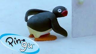 Pingu Gets Into Mischief  | Pingu - Official Channel | Cartoons For Kids