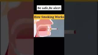 how smoking affects your body  #bodyinsight #new
