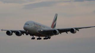 WONDERFUL DUSK landing @ HAMBURG AIRPORT / EMIRATES AIRBUS A380