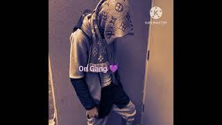 On Gang Pro By Vitlox
