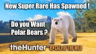 New Super Rare Has Spawned - theHunter Call of the wild.