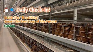  Daily Check-In! Inside the "Breathing" Smart Chicken Coop of the Future