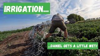 IRRIGATION... DANIEL GETS WET - Fenland Farming Adventures