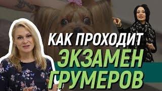 Аттестация грумеров УЦ СПЗ