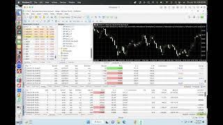 BOT TRADING - Momo Strategy - Automated Trading w/ simple moving average crossover bullish & bearish