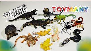 Discover the Joy of TOYMANY's Reptiles Set!  Unboxing time !!