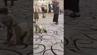 Мухит Бобоев Божаларим