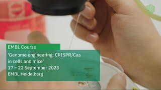 EMBL Course | Genome engineering: CRISPR/Cas in cells and mice