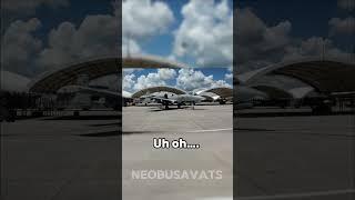 A10 death stare  #aviation #a10warthog #neobusavats #deathstare