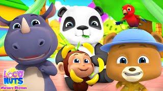 Zoo Song Animal Cartoon & Kindergarten Nursery Rhyme by Loco Nuts