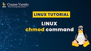 Linux chmod Command