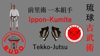 Tekko-Jutsu Ippon-Kumite | 前里術 一本組手