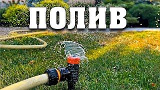 Осінній та вологозарядковий полив. Ця процедура допоможе винограду краще перенести зимові морози