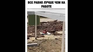 Всё равно лучше чем на работе