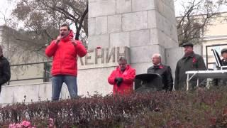 Владивосток.Митинг КПРФ.Артем Самсонов.07 ноября 2015 год