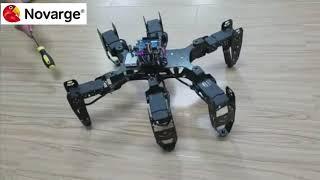 Robotik Kodlama Eğitimi - Novarge