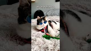 How Elie and Drako started ️