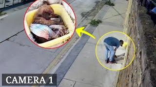 "Enough!" – He Storms Off, Ignoring the Crying Eyes of the Paralyzed Puppy