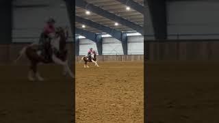 Barrel racing with Oscar (Бочки гонки с моя лошадь, Оскар)