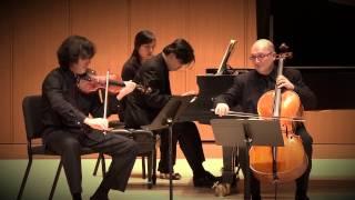 Schubert: Trio in E-Flat D.929 - Andante con moto | Berlinsky, Bagratuni, Sohn