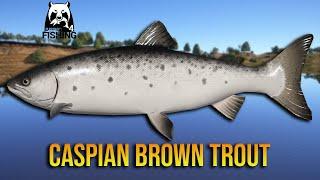 Caspian Brown Trout Spot at Akhtuba River - Russian Fishing 4