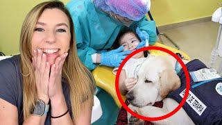 This Adorable Dog is Changing Dentist Visits FOREVER | That Good News Girl