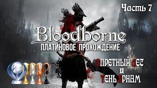 Часть 7. Запретный Лес и Тень Ярнам [Bloodborne]