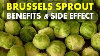 Brussels Sprout Benefits and Side Effects, Brussels Sprout High in Nutrients