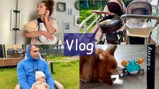 минусы и плюсы колясок Сэдди схватил краба поехали на ДР  VLOG