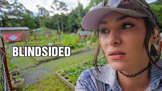 I Never Saw It Coming… | Harvesting Hope on Our Cabin Homestead
