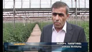 Լոլիկի հարցը դարձել է "հայկական հարց"