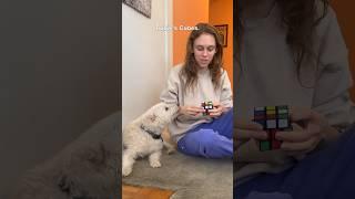 I’m a cuber of course… Livia Kleiner #RubiksMakeYourMove #RubiksCube